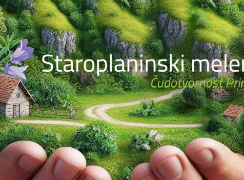 Prirodna nega protiv kožnih problema