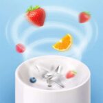 Prenosivi Blender